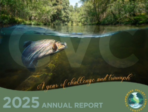 2025_Annual_Report_GVC_COVER