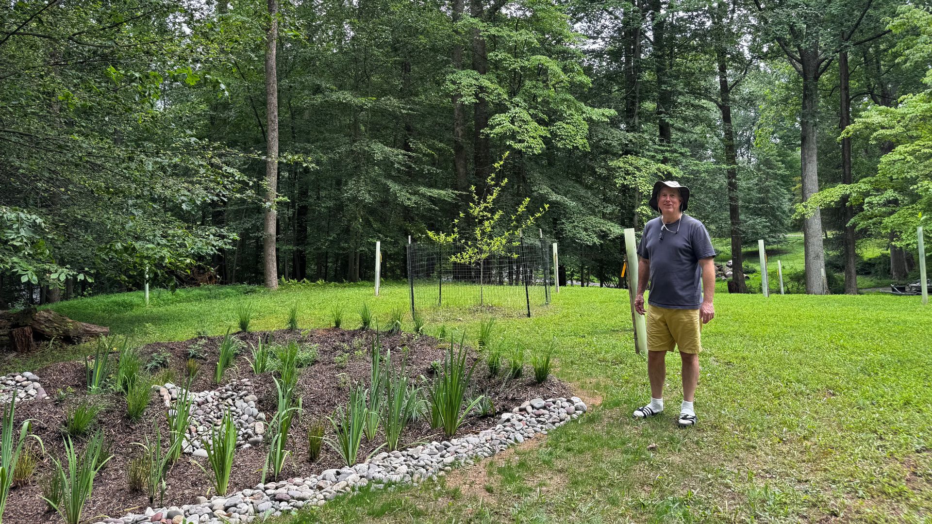 Hauptman_Garden_Trees