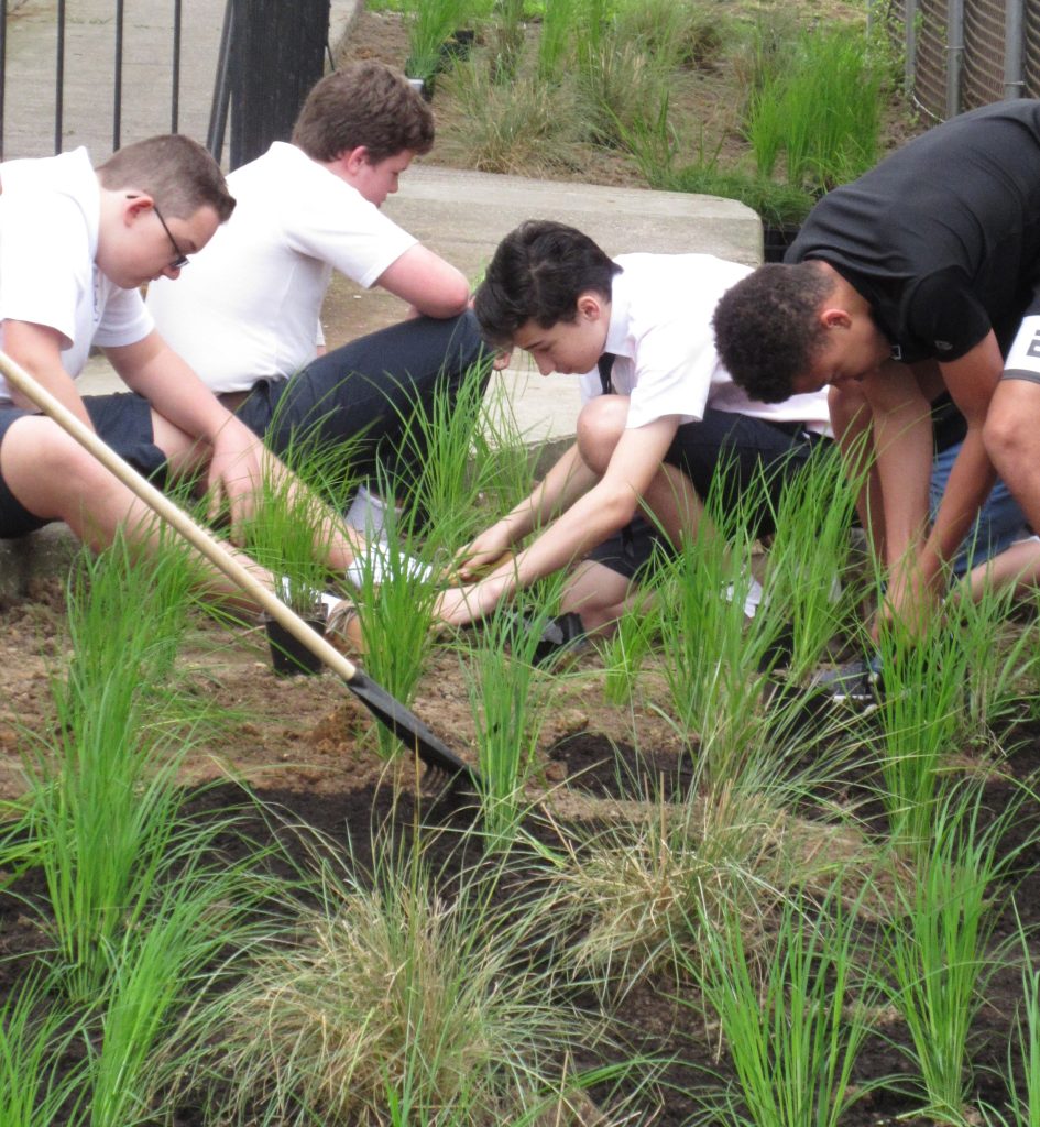OLMC-students-planting-native-grass-in-Bayscape