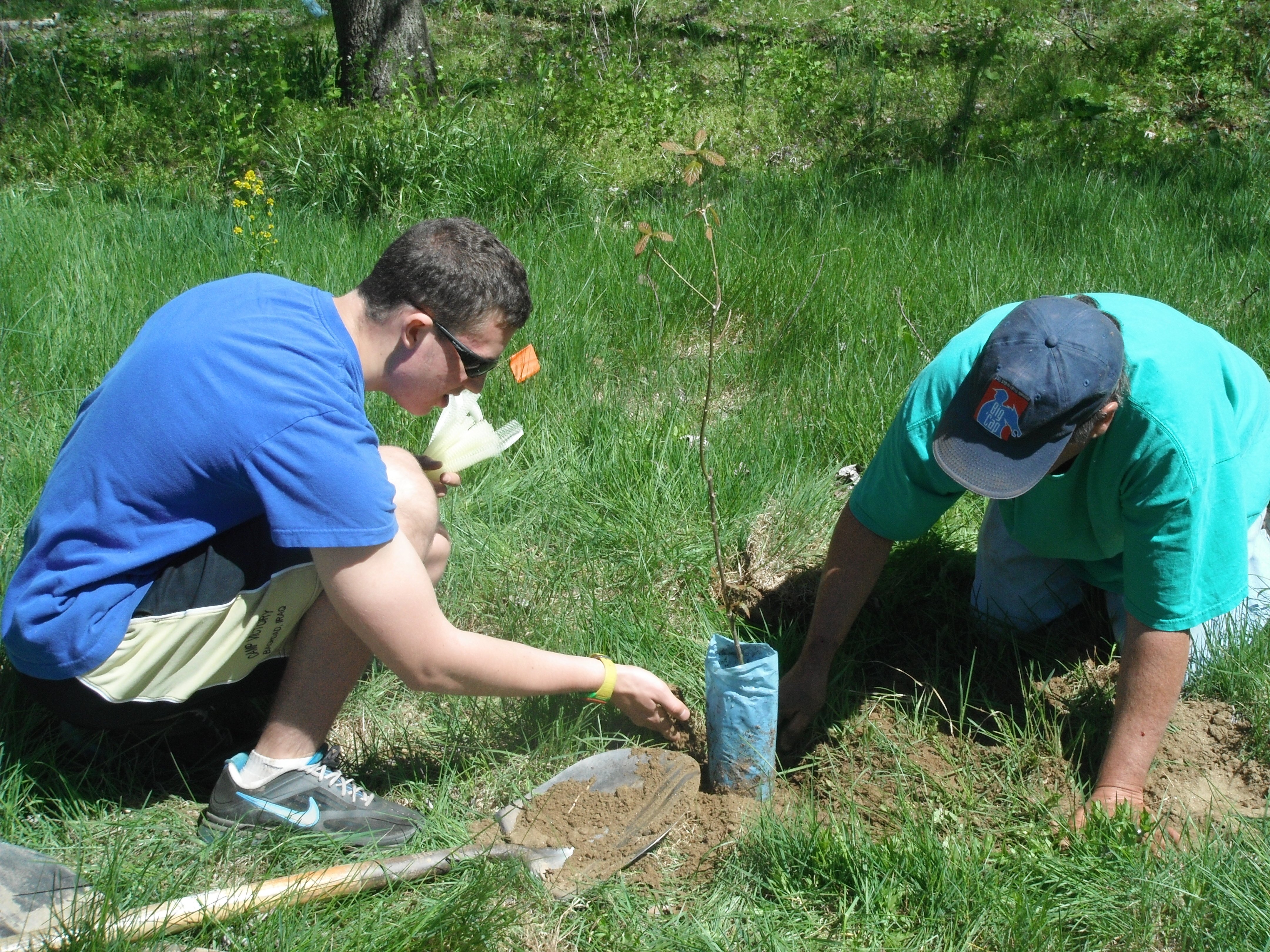 Volunteer_Bradley