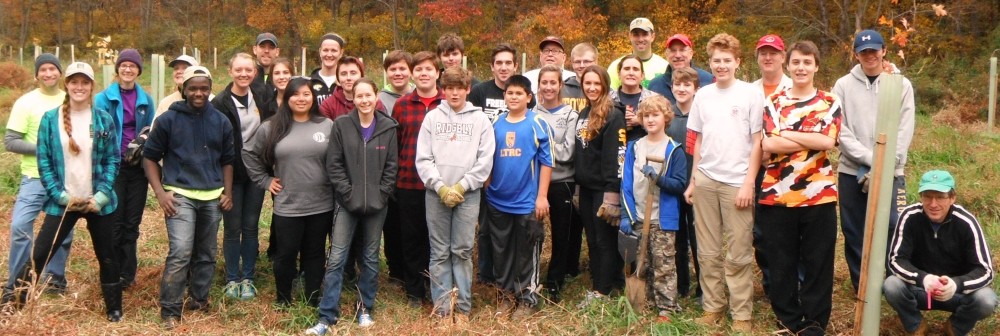 boyscout tree planting