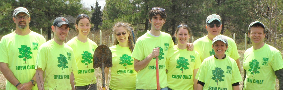 tree planting image